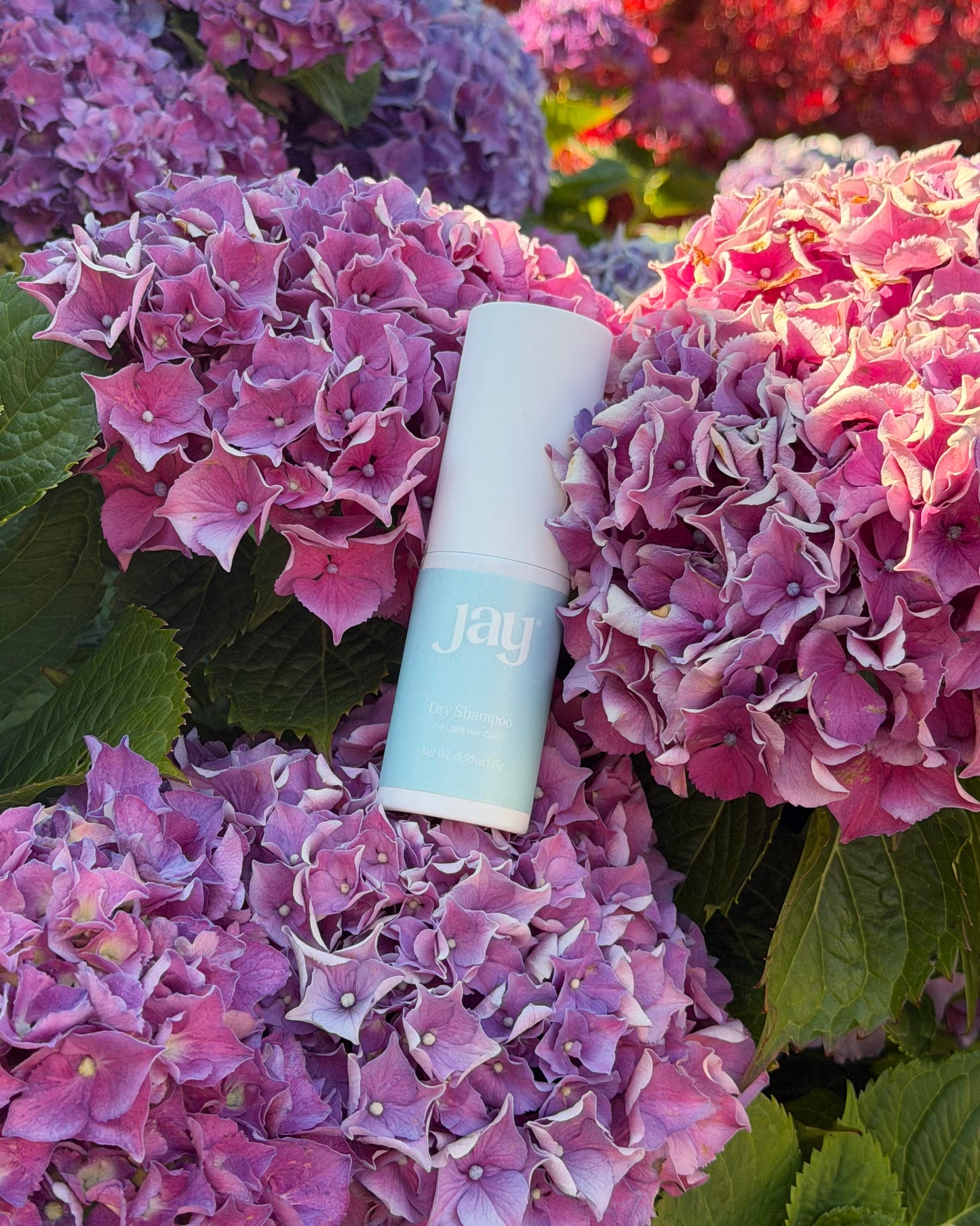Light Dry Shampoo